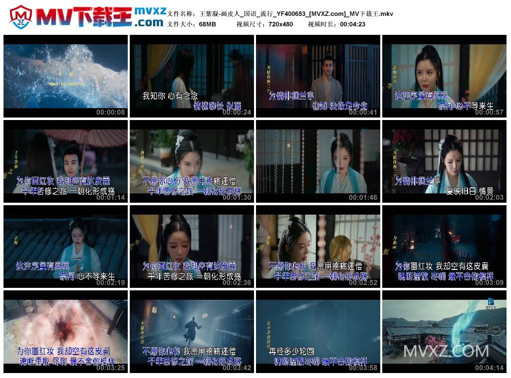 王紫凝-画皮人_国语_流行_YF400653